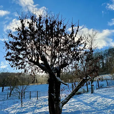 Wyzenborne Aparthotel 3*