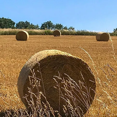 Wyzenborne Aparthotel