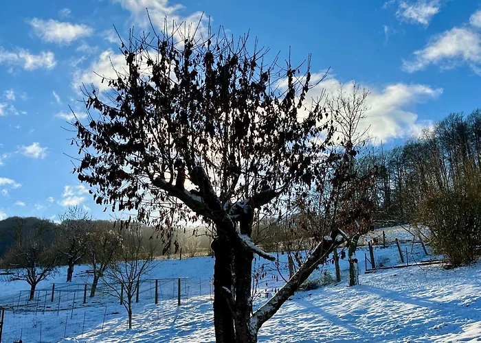 Wyzenborne 아파트호텔 3*