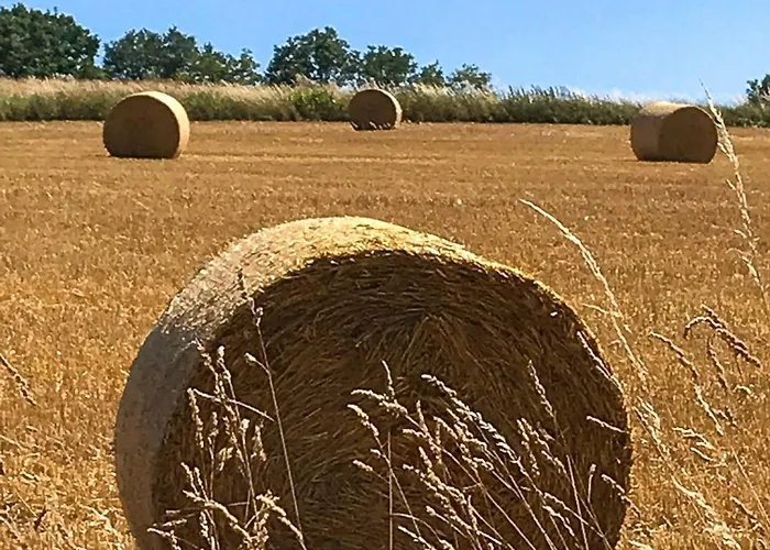 Wyzenborne 아파트호텔